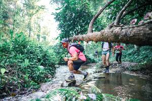 BIB: 
                            <button type="button" onclick="openModal(25433616)" class="btn btn-primary btn-sm float-right btn-popup" data-toggle="modal" data-target=".modal-high-quality">
                        <i class="fas fa-shopping-cart"></i> Add to Cart
                    </button>
                                            <button type="button" onclick="isThisMe(25433616, true)" class="btn btn-success btn-sm float-right btn-popup btn-isme hidden" data-toggle="tooltip" data-placement="bottom" title="นี่คือรูปของคุณใช่ไหม คลิกที่นี่เพื่อเอาเข้าอัลบั้ม">
                        <i class="fas fa-plus"></i> Add to album
                    </button>
                    <button type="button" onclick="isThisMe(25433616, false)" class="btn btn-warning btn-sm float-right btn-popup btn-isnotme hidden">
                        <i class="fas fa-ban"></i> Remove from album
                    </button>